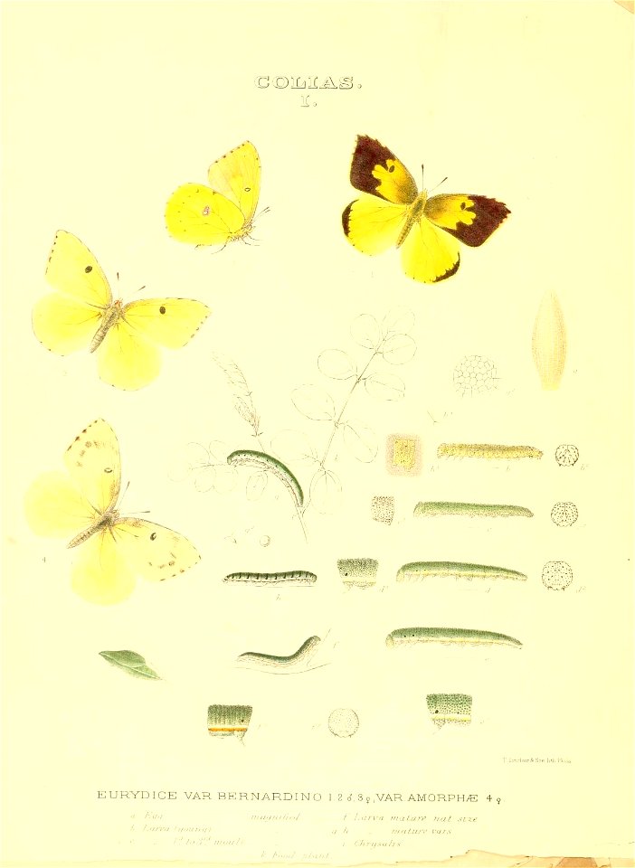 n13_w1150