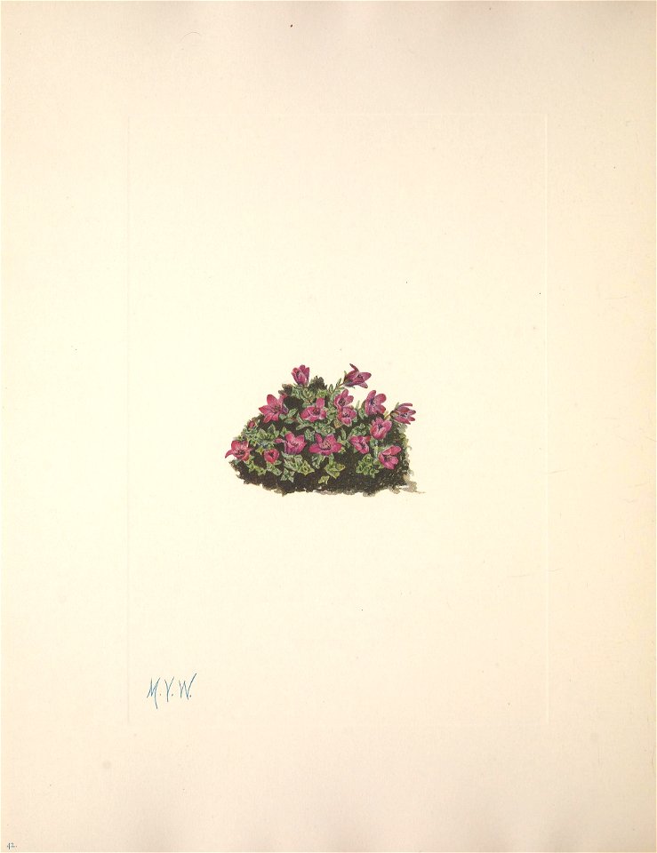 n196_w1150