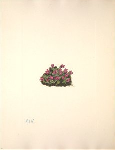 n196_w1150