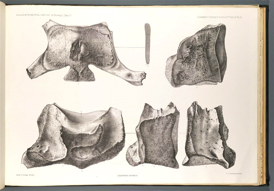 n136_w1150