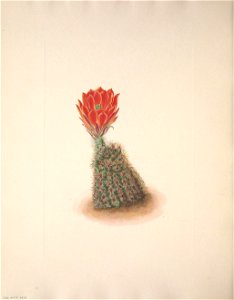n312_w1150