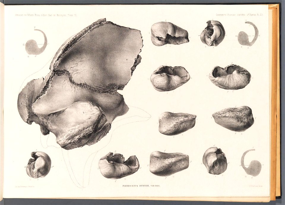 n123_w1150