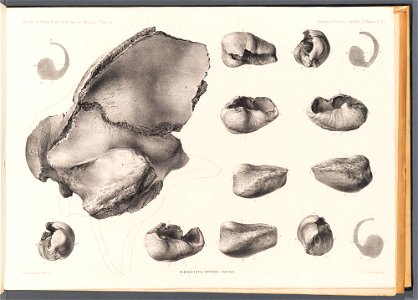 n123_w1150