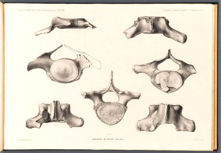 n308_w1150