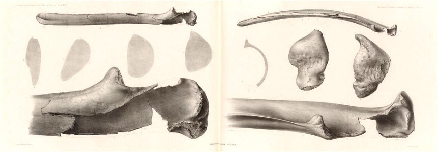 n186_w1150