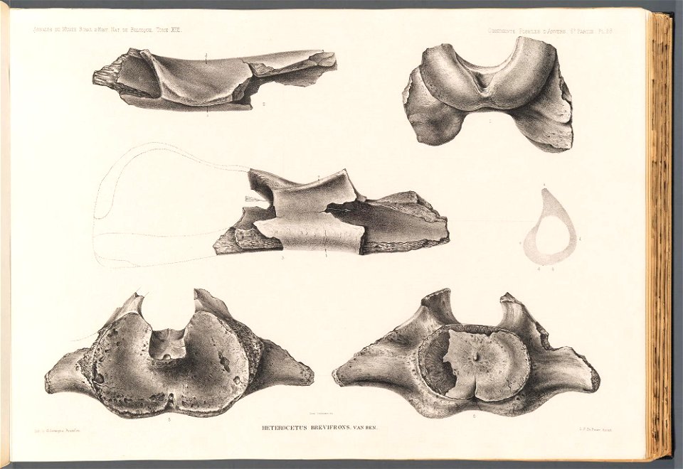 n119_w1150
