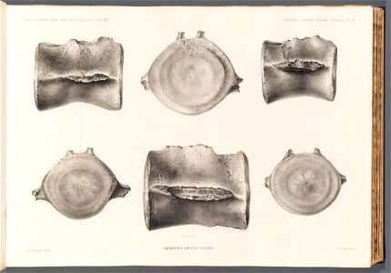 n59_w1150