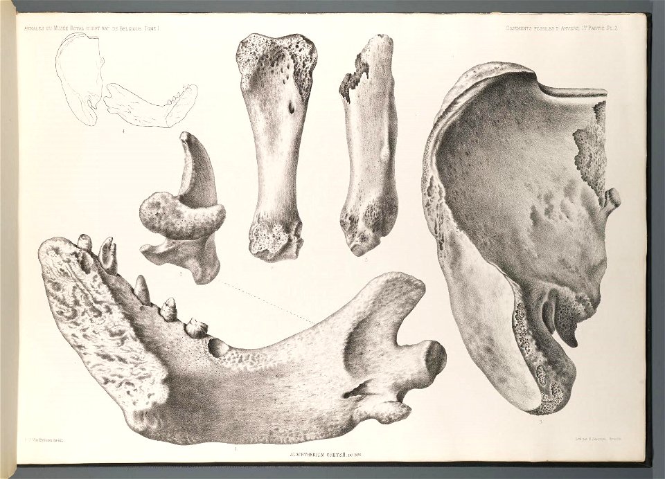 n14_w1150