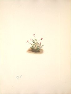n92_w1150