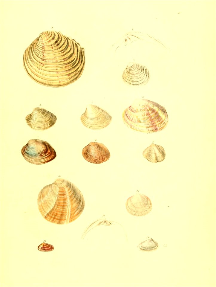 n354_w1150
