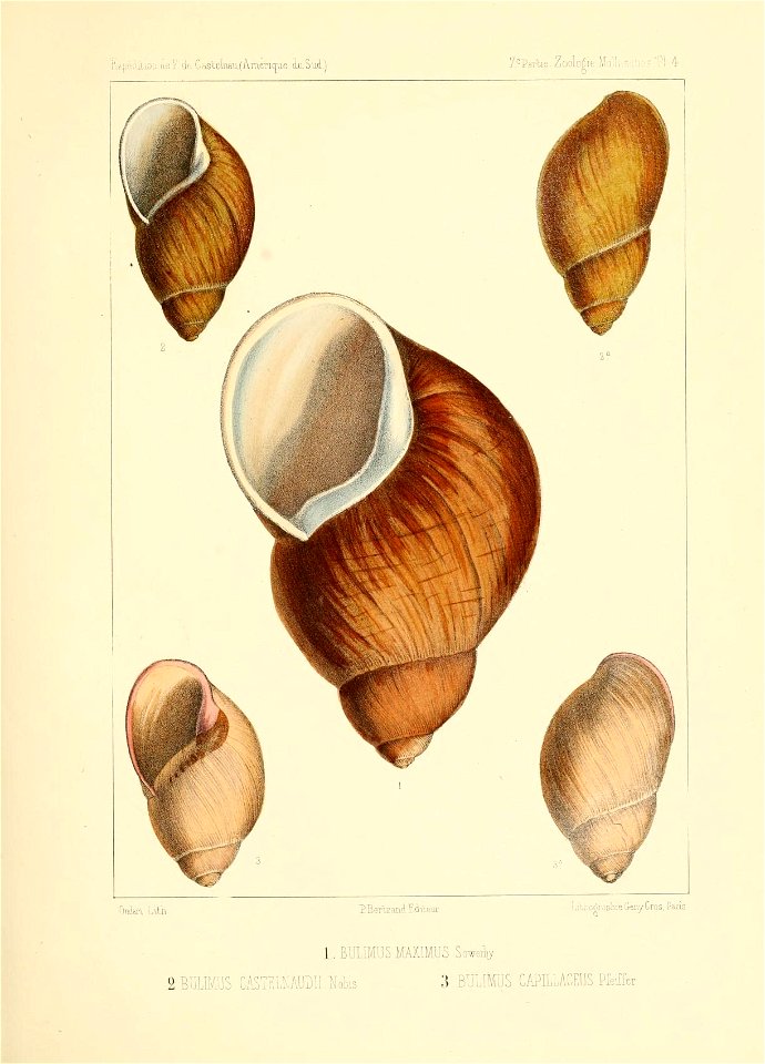 n112_w1150