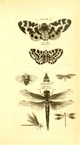 n554_w1150