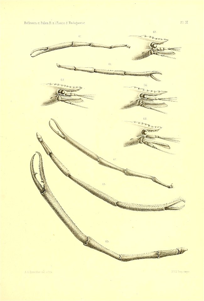 n122_w1150