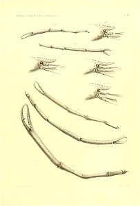 n122_w1150