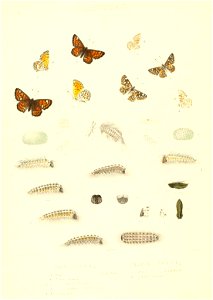 n401_w1150