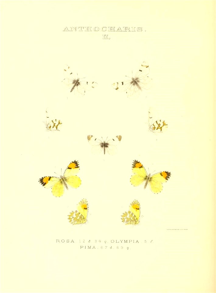 n193_w1150