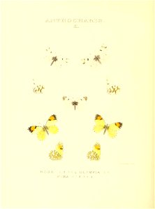 n193_w1150