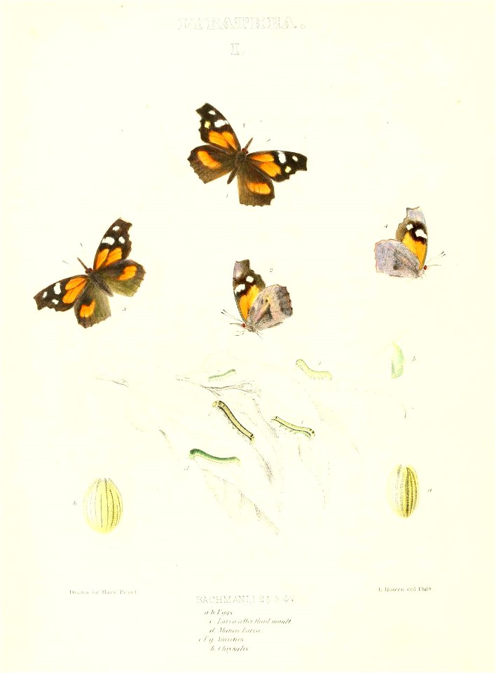 n393_w1150
