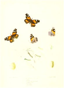 n393_w1150