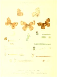 n45_w1150