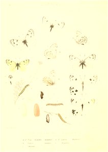 n115_w1150