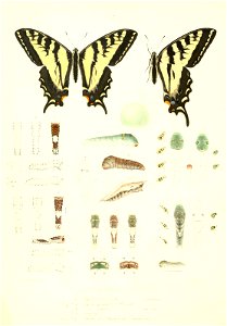n101_w1150