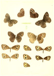 n365_w1150