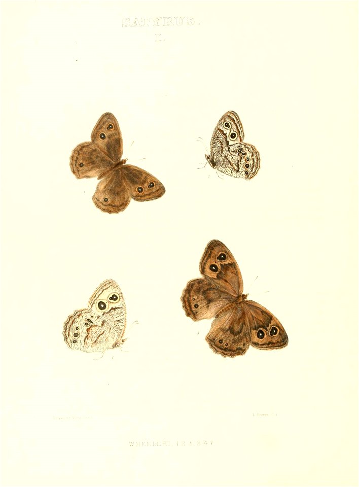 n351_w1150