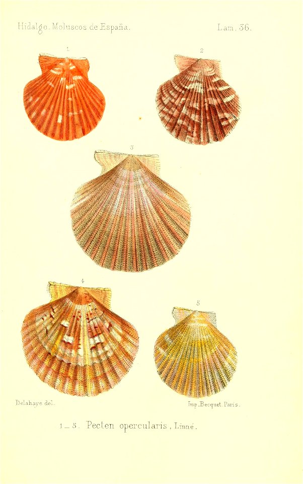 n438_w1150