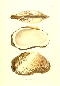 n234_w1150