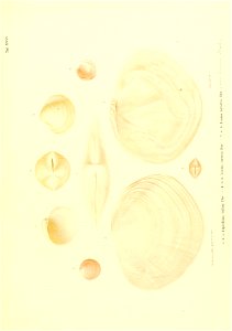 n204_w1150