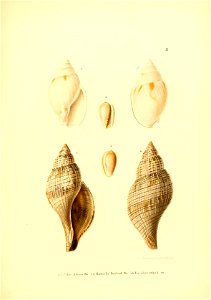 n174_w1150
