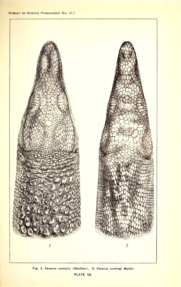 n294_w1150