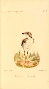 n502_w1150