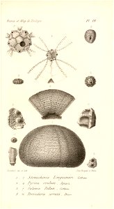 n504_w1150