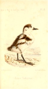 n508_w1150
