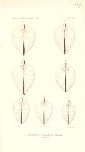 n596_w1150