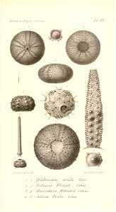 n502_w1150