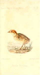 n506_w1150