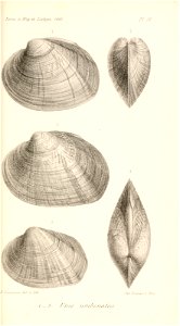 n456_w1150