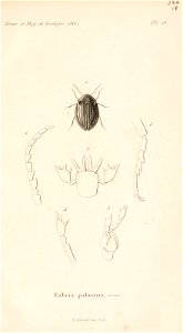 n628_w1150