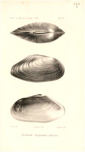 n594_w1150