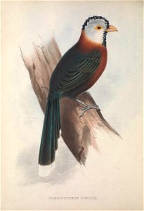 n175_w1150
