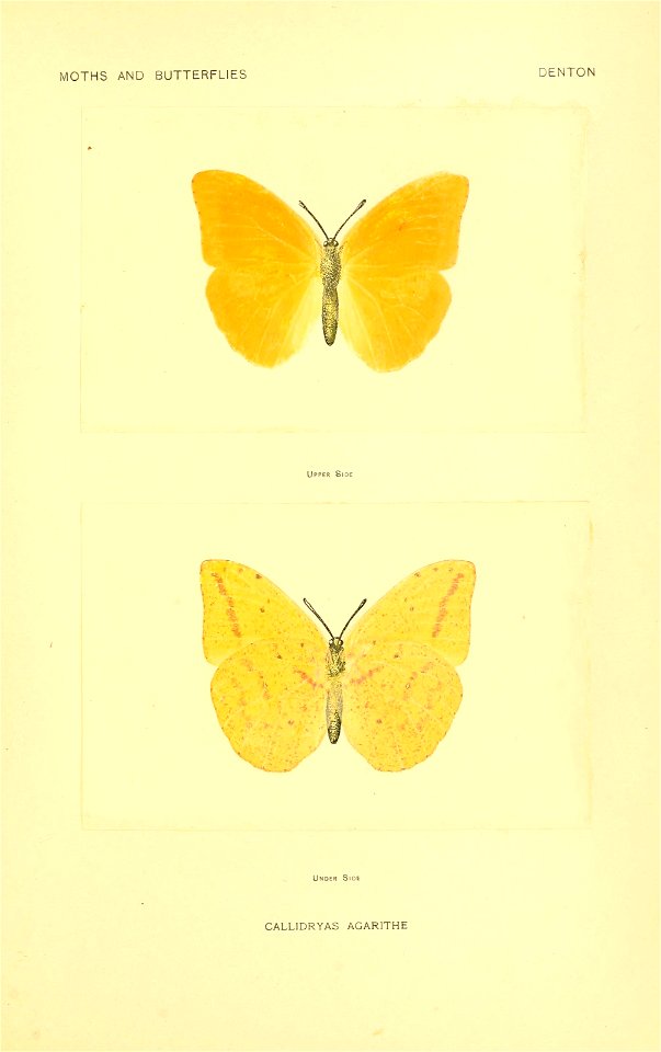 n252_w1150