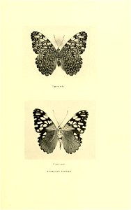 n128_w1150