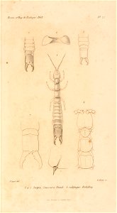 n528_w1150
