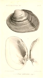 n454_w1150