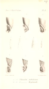 n508_w1150