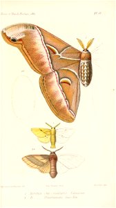 n544_w1150