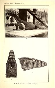 n318_w1150